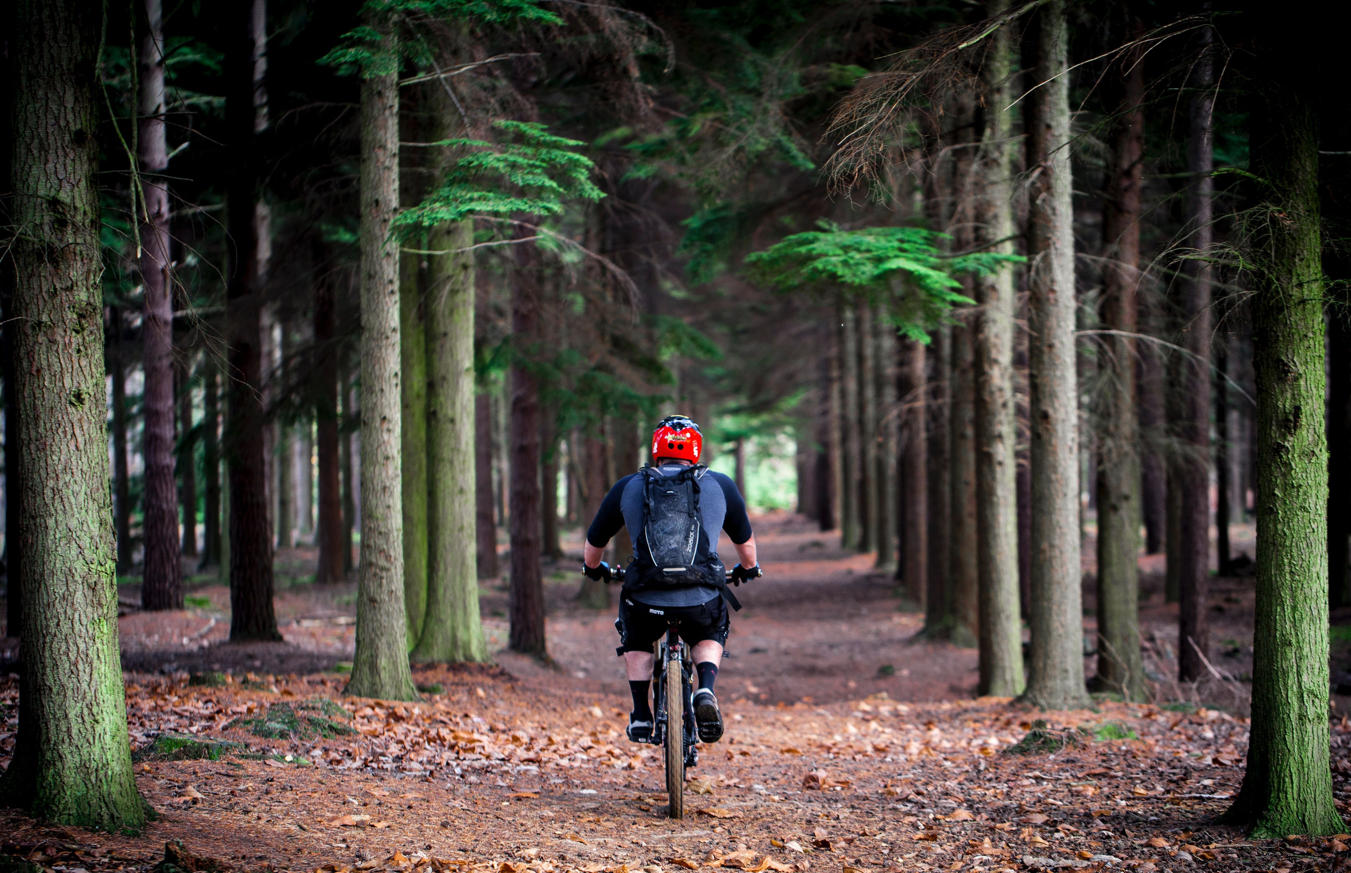mountain biking definition